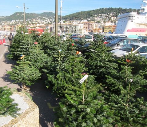 vente de sapins au port de Nice