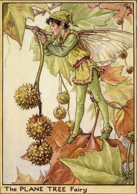 The plane tree fairy de Cisely Mary Barker